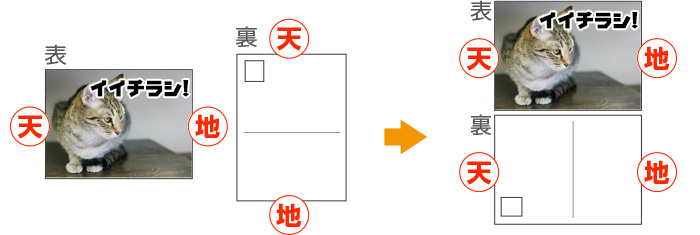 ヨコの場合の天地